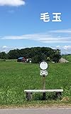 毛玉 (むささび文庫)