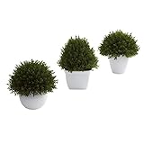 Nearly Natural 4977-S3 Mixed Cedar Topiary Collection, Green, Set of 3 [並行輸入品]