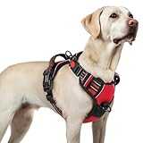 [最新型犬ハーネス]rabbitgoo 犬 ハーネス 犬用胴輪 小型犬/中型犬/大型犬 引っ張り防止 サイズ調整可能 アタマを通さず 夜間反射材 抜けない 通気性 咳き込み防止 歩行補助ハーネス 老犬 介護用品 散歩 しつけ用 ソフト 抜けない 通気性 簡単着脱 おしゃれ 安全 しつけ用 訓練 歩行補助 散歩(レッド L）