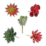 Perfk 人工植物　人工エチェリア　実生植物　工芸品　写真小道具　サボテン花