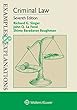 Examples & Explanations for Criminal Law