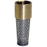 Water Source Tfv-150Nl 1-1/2-Inch Brass Foot Valve Well Pump Supply by Water Source