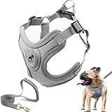 SAEGYPET 犬用ハーネス リードセット付き 引っ張り不要 犬の首輪ハーネス パッド入りベストハーネス付き 小・中・大型犬のトレーニングとランニング用 (グレー, S)