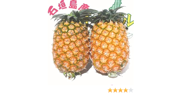 Amazon 黄金パイン 大玉 2個入 21年 沖縄石垣島産 I Shopいしがき パイナップル 通販