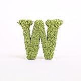 A plus floral art インテリアグリーン イニシャルモス [ W ] アルファベット オブジェ 置物 苔 イニシャル 雑貨 北欧風 インテリア