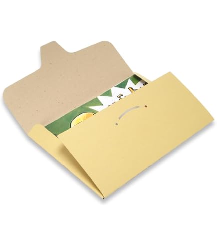 Amazon | 紙芝居替ケース（小）12画面用 入数：1枚 無地（3890-1003
