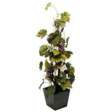 光触媒・人工観葉植物 オータムグレープ 黒(鉢の色)