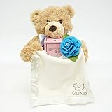 出産祝い/ママにやさしいハーブティーとおしゃべりクマセット・リボンラッピング付き (男の子用)