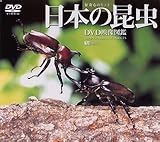 ���{�̍��� DVD�f���}��