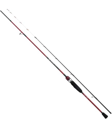 Amazon | ダイワ(DAIWA) 船竿 アナリスターキス MH-165・J | ダイワ