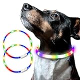 犬 猫 光る 首輪 LED 2個セット 夜間 ペット 散歩 ライト USB 充電 小型犬 中型犬 大型犬 レインボー