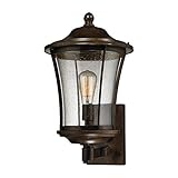 1-Light Outdoor Sconce in Hazelnut Bronze [並行輸入品]