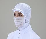 頭掛け不織布マスク ノーズブリッジ 100枚入 /2-5856-01