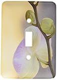 3dRose LLC lsp_37951_1 Elegant Orchid-Flowers-Floral Photography-Zen Single Toggle Switch