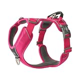 DOG Copenhagen(ドッグコペンハーゲン) コンフォートウォークプロ 3.0 ハーネス, ワイルドローズ, Sサイズ