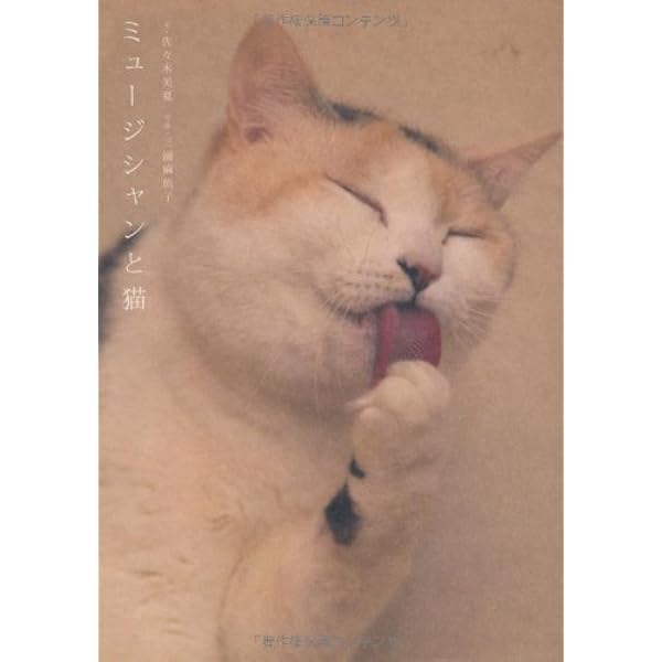 Amazon.co.jp: ミュージシャンと猫2 (P-Vine Books) : 佐々木美夏: 本