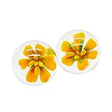 Dagly(TM) aginaトレーナーケーゲルベンワボール、女性V花GLA SSクスクスボール高度なアダルト商品をYSするには