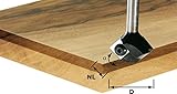 Festool 491672 Cutter Trimming HW D19/12 S8 [並行輸入品]