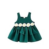 (プタス)Putars ベイビー服 子供服 女の子 ワンピース ドレス ノースリーブ 花柄 可愛い オシャレ プリンセス 通園 発表会 旅行 記念日 プレゼント 12-36ヶ月