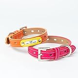 迷子札付き首輪 犬 いぬ 猫 ねこ ペット 犬 首輪 犬首輪 犬の首輪 おしゃれ かわいい 中型犬 小型犬 超小型犬 いぬ くびわ 革 レザー 犬用首輪 首輪 犬用迷子札 名前入れ 名入れ ネーム入り ネームタグ ドッグタグ OTM-1MF 名札 (S, 赤)