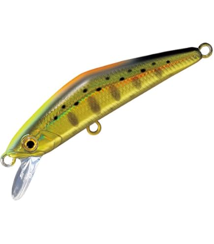 Amazon | リトルプレゼンツ(LITTLE PRESENTS) AC-151 イワナネット