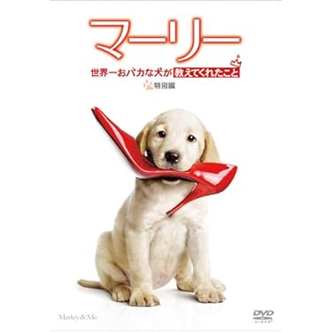 Amazon.co.jp 売れ筋ランキング: undefined の中で最も人気のある商品です