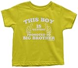 Threadrock SHIRT ベビー・ボーイズ ボーイズ US サイズ: 12 Months カラー: イエロー
