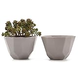 T4U 12.5CM 陶器鉢 幾何パターン マット表面 多肉植物 サボテン鉢 フラワーポット プランター容器 灰色 2個入り