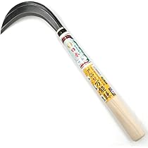 くわかま 71aEx6ISAFL.jpg_BO30,255,255,