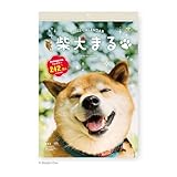 新日本カレンダー 2025年 カレンダー 壁掛け 柴犬まる 壁掛け 小 NK4008