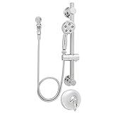 Speakman SM-6080-ADA-P Alexandria Anystream Handheld Shower Head with Hose, Shower Valve, and ADA Ad