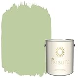 Kilz Tribute内部Eggshellペイント、1、1ガロン、クールでプライマーフォグ( tb-61 ) 1 Gallon, Eggshell TRI INT GL EGGM TB-74 SUB