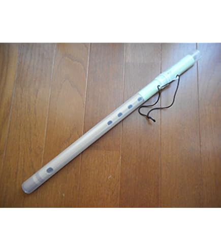 篠笛　7本調子 日音 篠笛 唄物 7穴 7本調子 ケース付 プラスチック : 和楽器