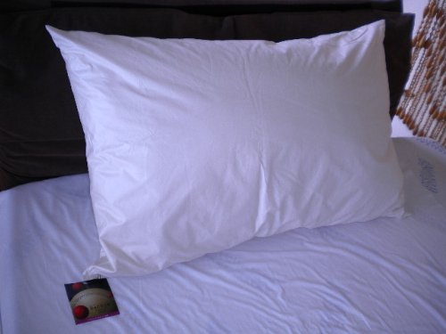 【ジャンボリラックスピロー】高級ホテルの様なふかふかの寝心地をあなたに！【６０×９０×２５ｃｍ】