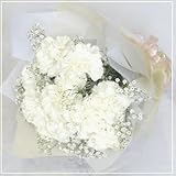 【母の日対象商品】（5/10～13中にお届け）カーネーションの花束/カーネーションブーケ (白)