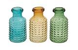 Deco 79 Glass Vase 3 Assorted 5 by 10 [並行輸入品]
