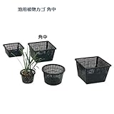 池用植物カゴ（角中）