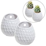 Set of 2 Golf Ball Inspired White Small Freestanding / Wall Mounted Ceramic Decor Plant Display Vase