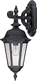 Nuvo 60/2034 Arm Down, Wall Lantern with Seeded Mist Glass, Satin Iron Ore, Mid-Size [並行輸入品]
