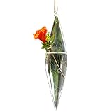 Kicode 花 ガラスの花瓶 装飾 1つの穴と ホームや結婚式のために