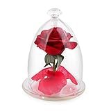 Beauty and the Beast 2017 Rose Set Red Silk Rose and Led Light with Fallen Petals in Glass Bottle【クリ
