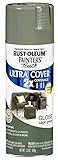 Rust-Oleum 249094 Painter's Touch Multi Purpose Spray Paint, 12-Ounce, Sage Green [並行輸入品]