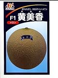 黄美香　みかど協和のメロン種です