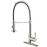 VIGO Edison Single Handle Pull-Down Spray Kitchen Faucet with Deck Plate, Stainless Steel [並行輸入品]