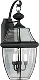 Forte Lighting 1301-02-04 Traditional 2-Light Exterior Wall Lantern, Black Finish with Clear Beveled