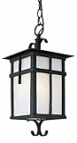 Trans Globe Lighting 5284 BK 16-Inch 1-Light Outdoor Medium Hanging Lantern, Black [並行輸入品]