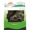 beauty in the nature セキセイインコ、オカメインコが住むオーストラリアの大地 オーストラリア鳥図鑑