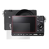 ミヤビックス SIGMA fp L/fp 用 抗菌・抗ウィルス機能付き 保護 フィルム 日本製 OverLay 抗菌 Brilliant