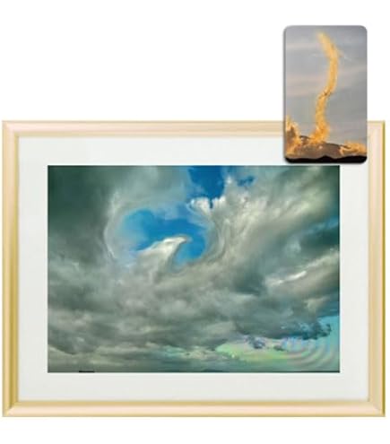 Amazon.co.jp: 秋元隆良 奇跡の写真 ｢富士山・幕開け｣ 【金龍