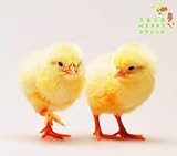 ���邤��HAPPY�N���V�b�N